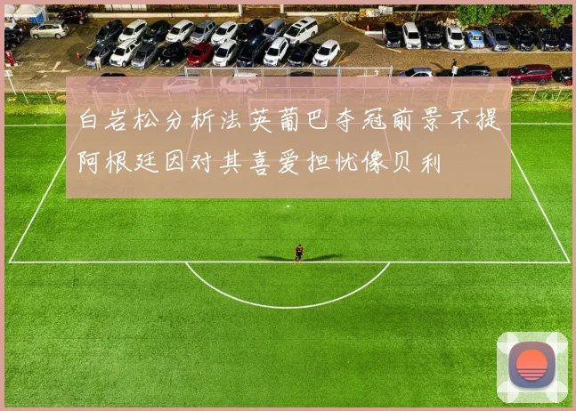 白岩松分析法英葡巴夺冠前景不提阿根廷因对其喜爱担忧像贝利