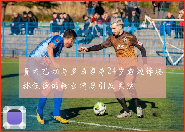 费内巴切与罗马争夺24岁右边锋格林伍德的转会消息引发关注