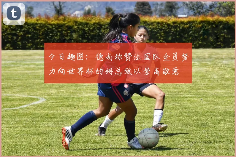 今日趣图：德尚称赞法国队全员努力向世界杯的姆总致以崇高敬意